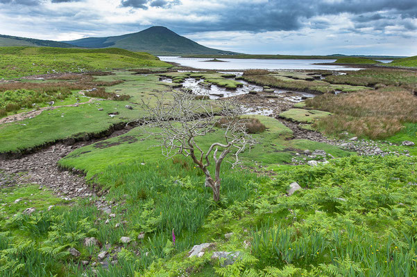 Connemara, Irland
