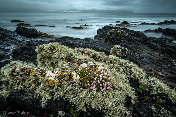 Dingle Peninsula, Ireland