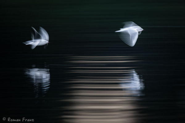 Speed