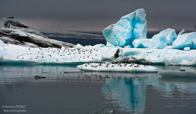Jökulsarlon, Island