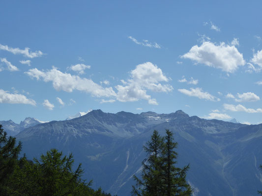 Ausblick im Sommer