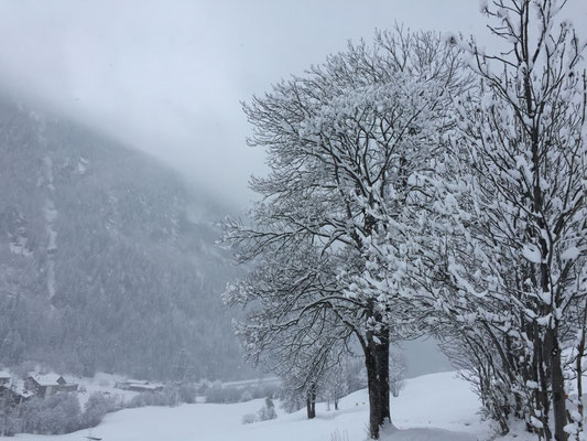 Römerweg Leukerbad im Winterwunderland