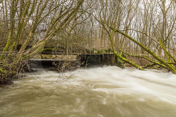 An der Steinach ehemalige innerdeutsche Grenze zwischen Ebersdorf (Oberfranken) und Heubisch (Südthüringen)