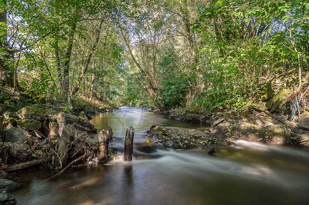 An der Steinach ehemalige innerdeutsche Grenze bei Mupperg (Südthüringen)