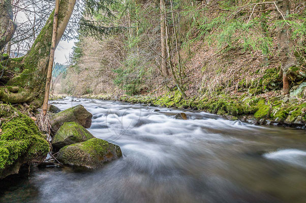 Im Tettautal an der Tettau ehemalige innerdeutsche Grenze (Südthüringen)