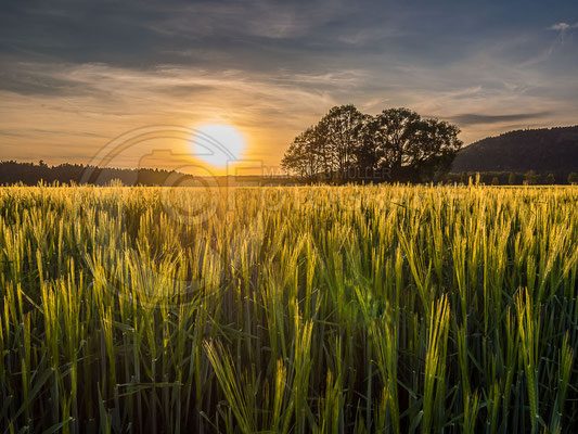 Sonnenuntergang an der ehemaligen innerdeutschen Grenze bei Heubsich (Südthüringen) mit Blick in Richtung NSG Müßholz