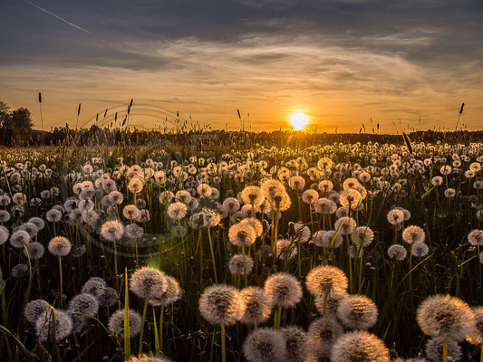 Sonnenuntergang an der ehemaligen innerdeutschen Grenze bei Mupperg mit Blick in Richtung NSG Müßholz