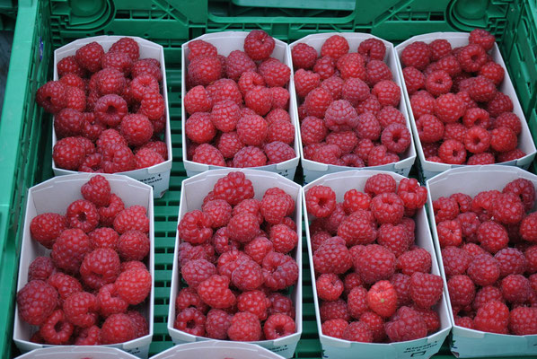 Von Juli bis Oktober gibt es im Sunnehof leckere Himbeeren zu kaufen.