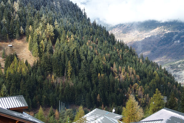 La vue depuis le balcon