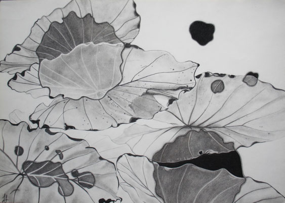 Leaves & Drops of Philodendron (50*70 cm), Kohlezeichnung
