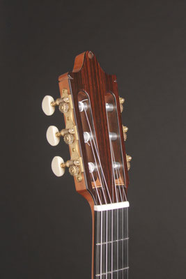 Classical Model with Auxiliary Sound Port, 2022