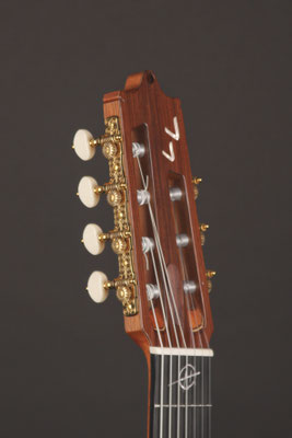 'Lionel Loueke' 7-String Multi-Scale Geneva Model, 2020