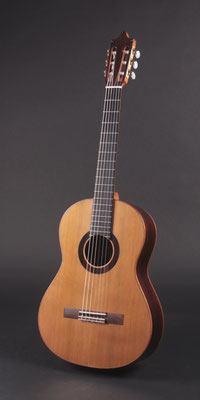 Geneva Non-Cut Model for Gilad Hekselman, 2019