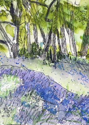 Blackbury Camp 5x7in