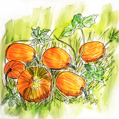 Pumpkins 6x6in
