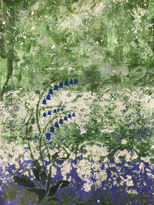 Bluebells, original monotype, 20x28.5 in white 12x16in mount £25
