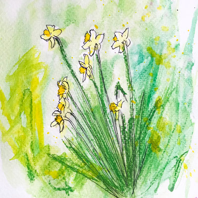Wild Daffodils 6x6in
