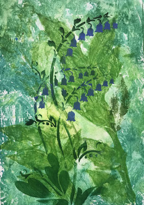 Bluebells 2-Hybrid Print-7x9 in white mount £15.00