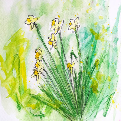 Wild Daffodils 5x5in