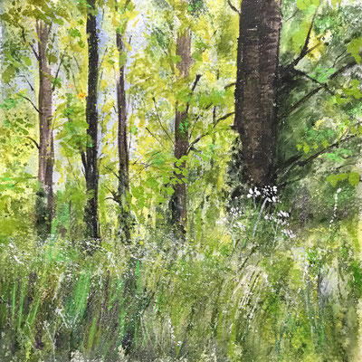Powderham Summer 5x5in