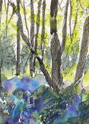 Bluebell Wood 5x7in
