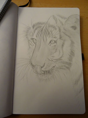 Skizzenbuch: 5. Skizze Tiger WIP 