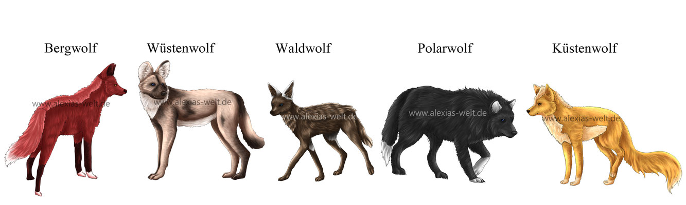 Größenvergleich der Wolfsarten von Lupus et Lupa