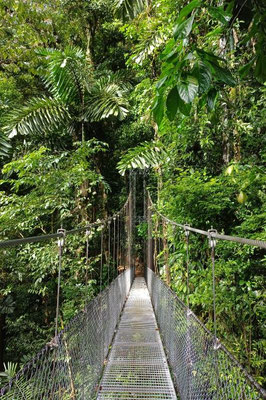 Mistico Hanging Bridges Park - Costa Rica 2 Wochen Route