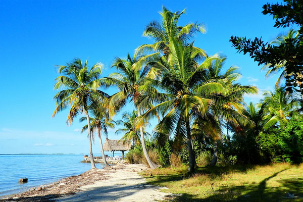 Florida Keys