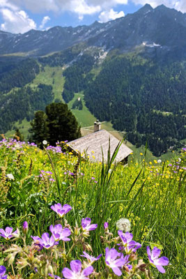Wandern in Haute-Nendaz