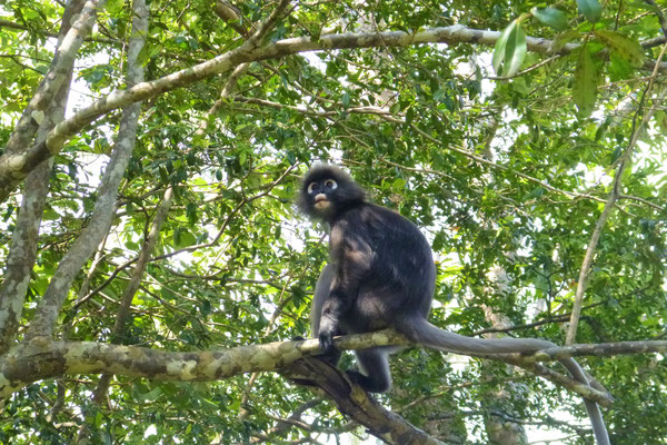 Mu Koh Lanta Nationalpark