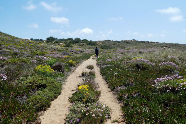 Dünenwanderung Fischerpfad