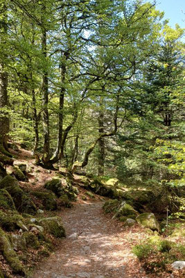 Wandern am Lac Blanc - Vier Seen Wanderung