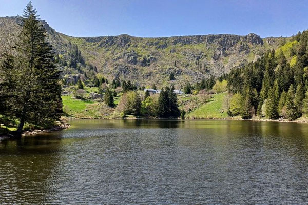 Lac des Truites (Lac du Forlet) - Vogesen