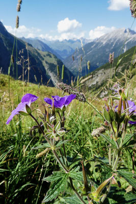 E5 Alpenüberquerung Oberstdorf Meran