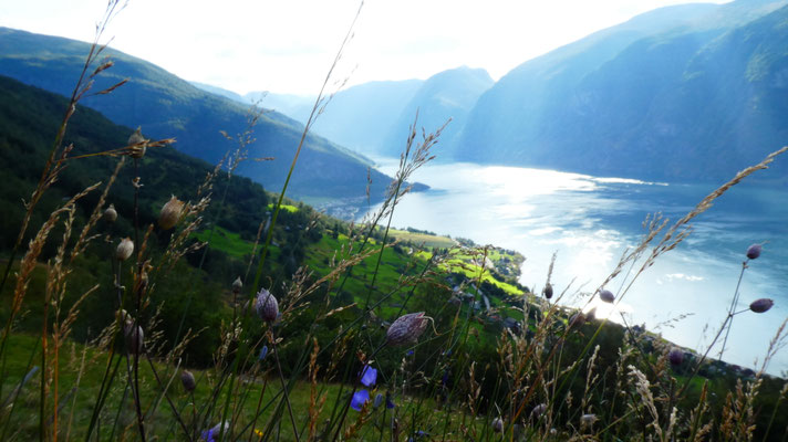 Stegastein, Aurland