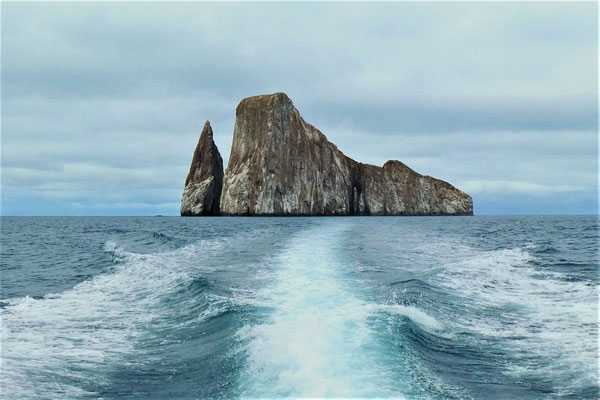 Kicker Rock - León Dormido
