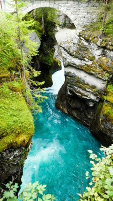 Bulli Roadtrip Norwegen 2 Wochen