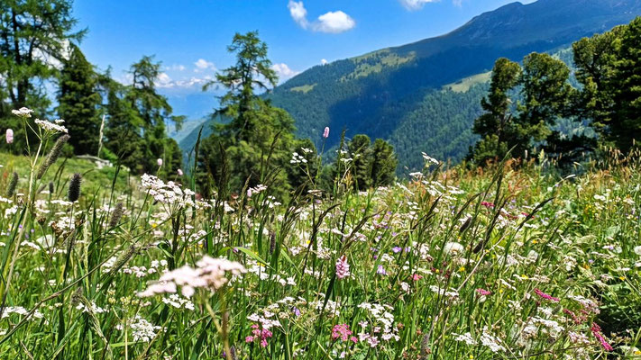 Haute-Nendaz