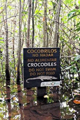 Cahuita Nationalpark - Costa Rica 2 Wochen Route
