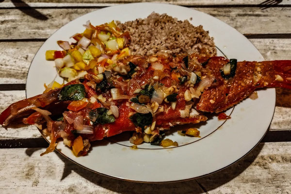 Red Snapper