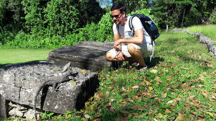 Nationalpark Palenque