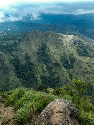 Ella Rock Viewpoint