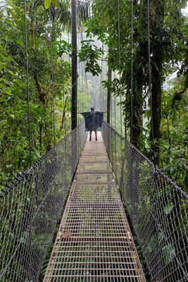Mistico Hanging Bridges Park - Costa Rica 2 Wochen Route