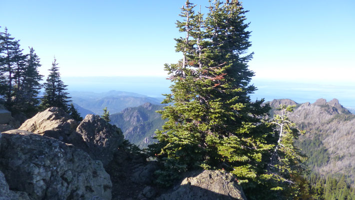 Olympic National Park