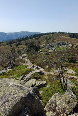 Tanet-Gipfel