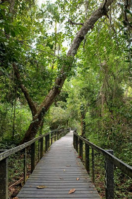 Cahuita Nationalpark - Costa Rica 2 Wochen Route