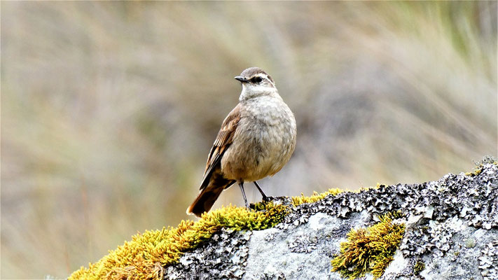 Nationalpark Cajas