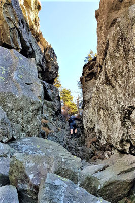 Grandfather Mountain
