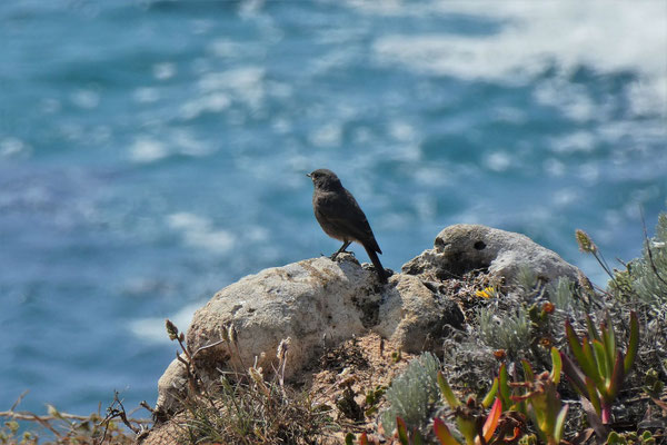 Fisherman's Trail Portugal